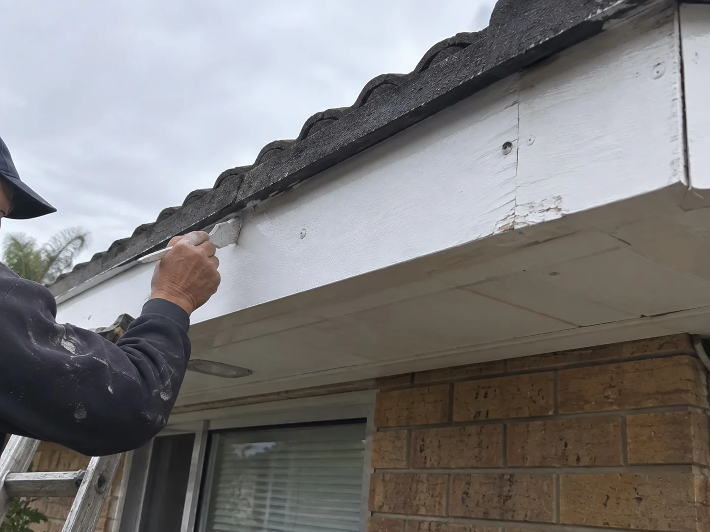 Fascia and Soffit Repair in West Auckland