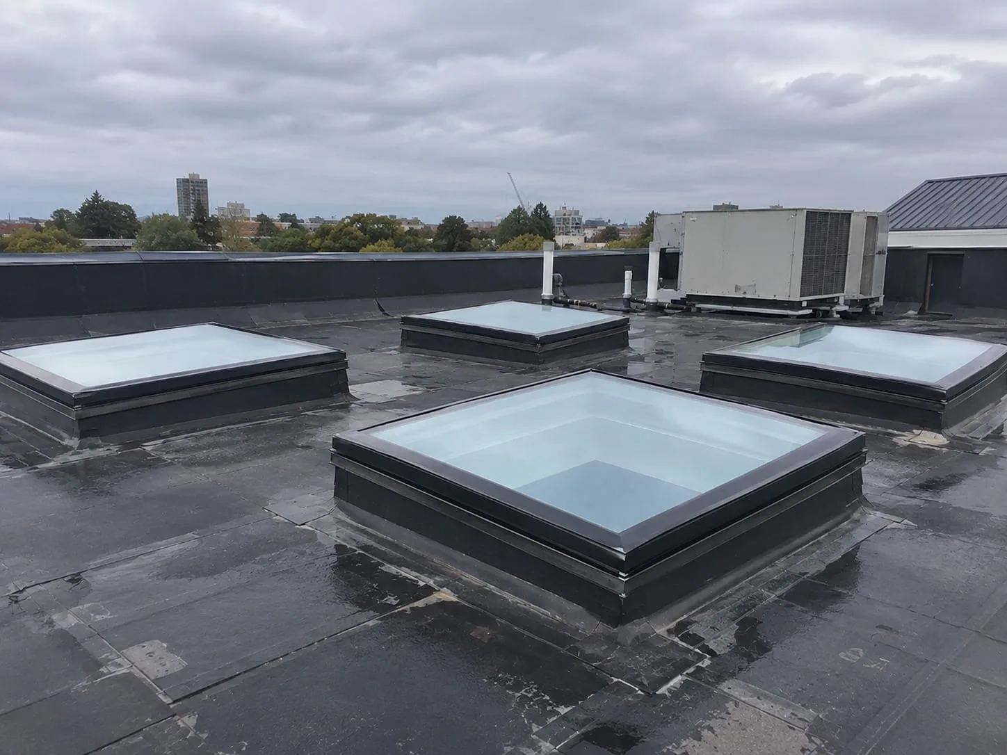 Fixed Skylights in West Auckland