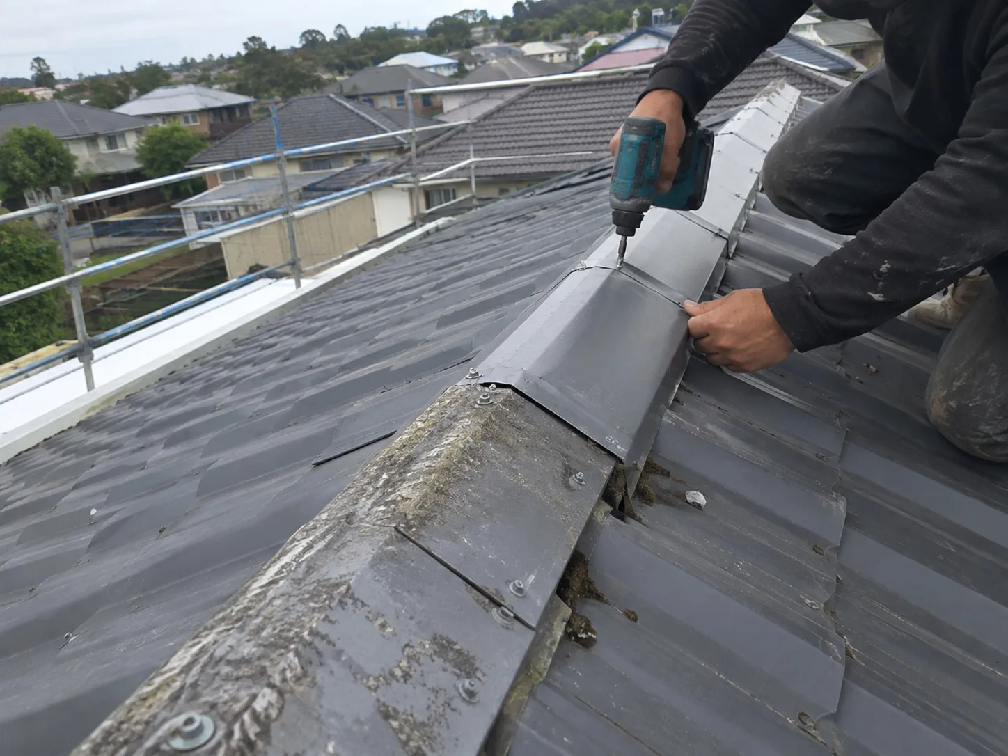 Ridge tiles being rebedded and repointed on a West Auckland roof