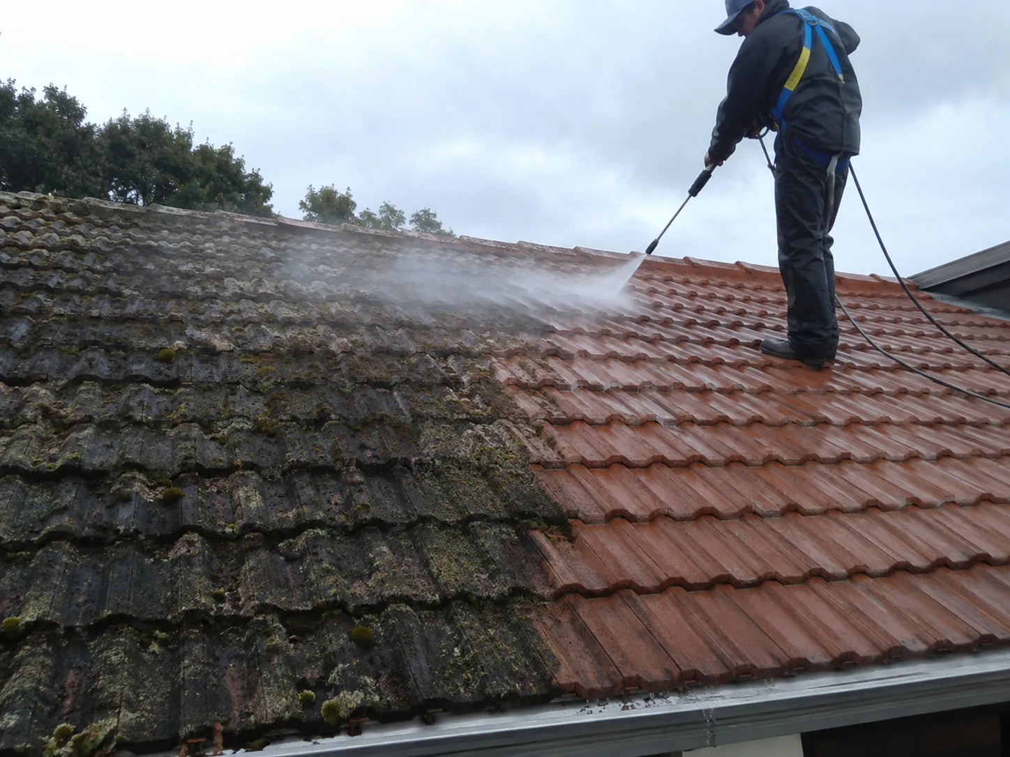 Roof Cleaning and Moss Treatment in West Auckland