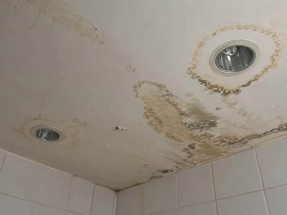 Water stains on a ceiling caused by a roof leak