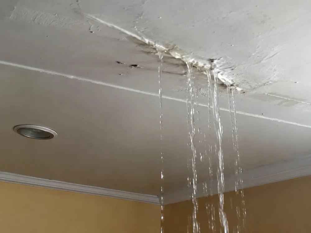 Water leaking through a ceiling from a damaged roof