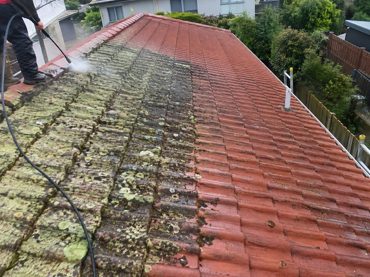 Moss and lichen growing on a tiled roof in West Auckland